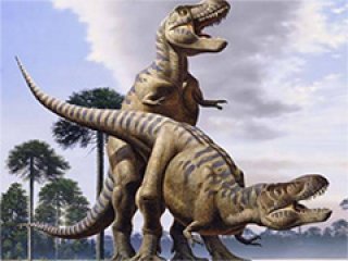 Détails : Porno France : les débuts d'une amatrice Bordelaise